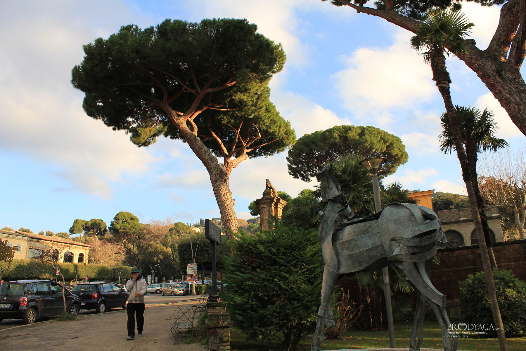 Frascati